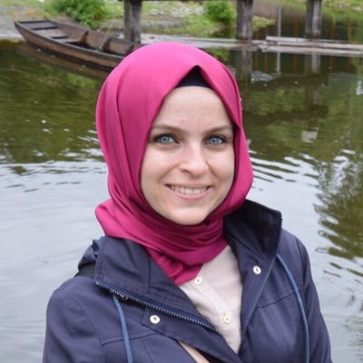 hanife_sari's profile picture. Yildiz Technical University Environmental Engineering Dept.
 #microplastics #membranebioreactors #sludgetreatment