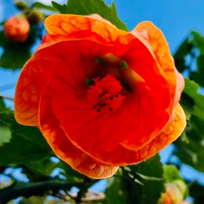 bine3566's profile picture. 