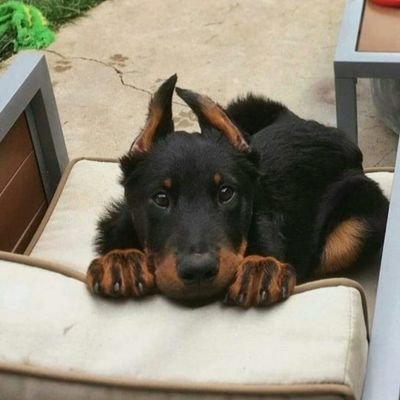 anjag01's profile picture. 