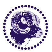 Deering High School (@deeringhs) 's Twitter Profile