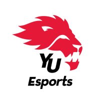 Team Nexus Lions E-SporTs