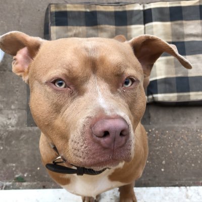 rob36085264's profile picture. The new one