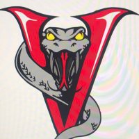 Columbia_Vipers (@columbiavipers) Twitter profile photo