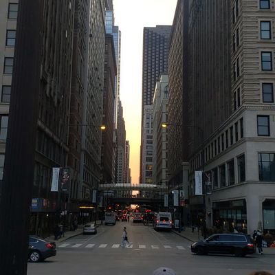 pompoustoad's profile picture. 