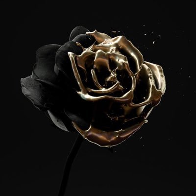 Mj_Reemi's profile picture. CS graduate 🎓