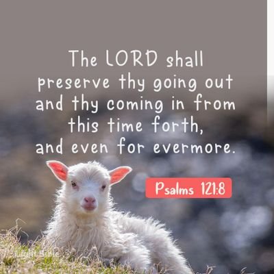 Made in God's own image:a pro-life,a teacher,freedom emancipator,believer of God(matt.6:33),equity,justice & fair play,purveyor of Truth, resounding BIAFRAN