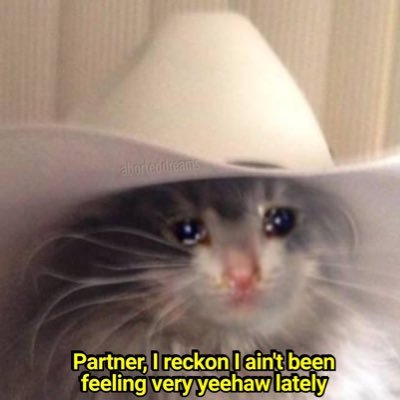 babtizedinvodka's profile picture. You can block me on snap. You can delete my number, but you can NEVER unsuck my titties and that’s a FACT.