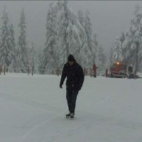 S A Smith (@smith442smith) 's Twitter Profile Photo S A Smith (@smith442smith) 's Twitter Profile Photo