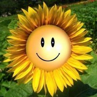 Orgulldepais (@senyorseny) 's Twitter Profile