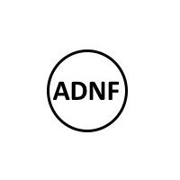 ADNF (@ans_devneuro) 's Twitter Profile Photo ADNF (@ans_devneuro) 's Twitter Profile Photo