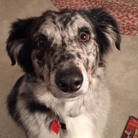Tootsismyname🏴☠️ (@beedodoobiedo) 's Twitter Profile Photo Tootsismyname🏴☠️ (@beedodoobiedo) 's Twitter Profile Photo