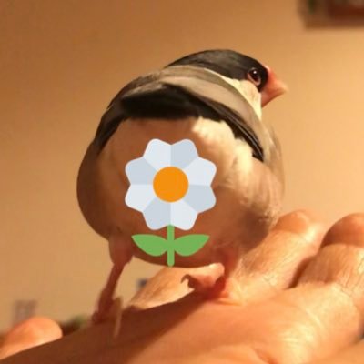 のびのびのびちゃんさんのプロフィール画像