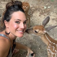 Lindsay (@mrstreesplease) 's Twitter Profile