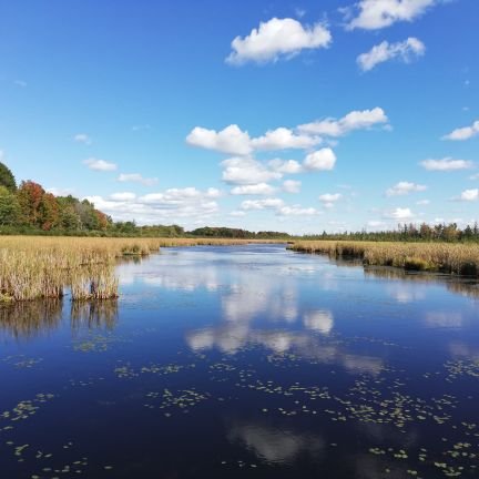 Eleanor_Fast's profile picture. 