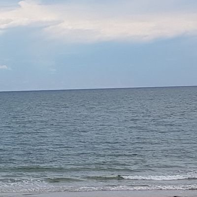 Devgroup656's profile picture. 