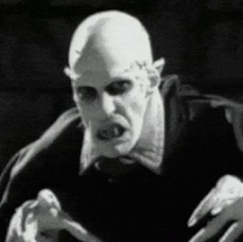 Nos4rtu's profile picture. 