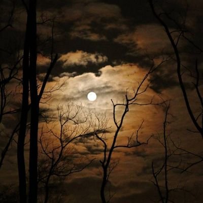 AndresoyyoV's profile picture. 