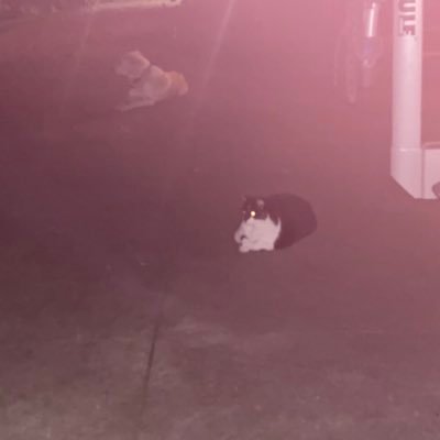 mikegrau's profile picture. 