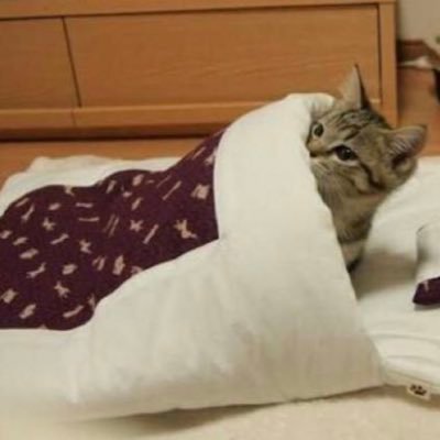 ukinyanpyou's profile picture. 