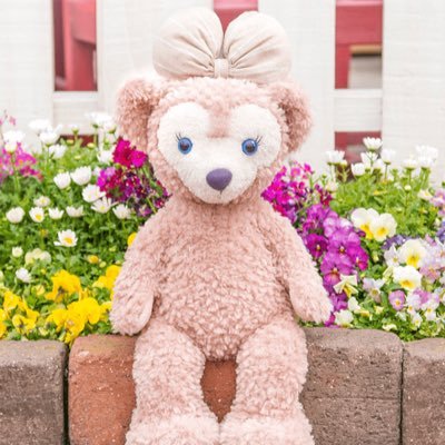 capecod_cookoff's profile picture. 