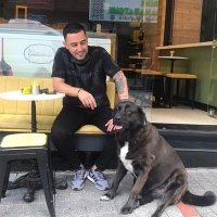 hakan göktürk♂️ (@hkn_gktrk1616) 's Twitter Profile
