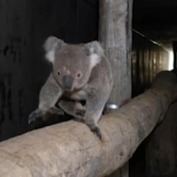 ersidio09's profile picture. 