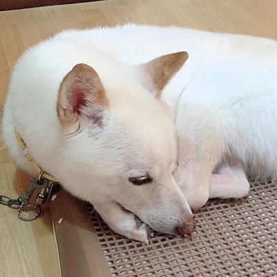 †まなみん†さんのプロフィール画像