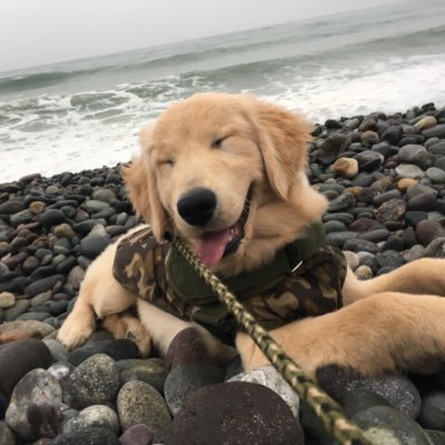 NiDGIH's profile picture. Qué onda?