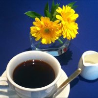 Kristaliy SmashRing (@personal_bell) 's Twitter Profile