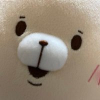 ひやつほう (@mikandofu) 's Twitter Profile