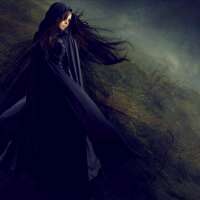 laycool004's profile picture. 