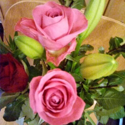 Ljuljusha's profile picture. 