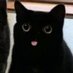 Mart (@margeicar) Twitter profile photo Mart (@margeicar) Twitter profile photo