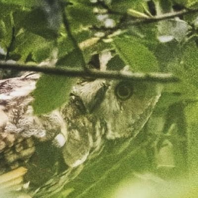 Arthur86017851's profile picture. 