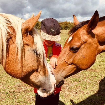 We rehabilitate horses, providing care & freedom, whilst working with SEMH, BESD & SEND individuals & our community to nurture resilience, friendship & value