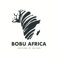 Bobu Africa(@BobuAfrica) 's Twitter Profile Photo