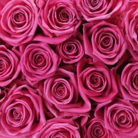Aura Design are leading florists/floral designers in Essex and London Tel; 01375 893598 Email; auradesignevents@btconnect.com