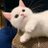 yglsp233's profile image