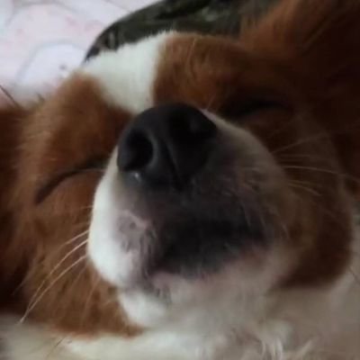 Thum190411's profile picture. 