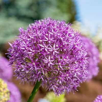 BakarMane's profile picture. étudiant à l'ucad