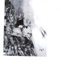 Deb Spicer - @spicerdeb - Twitter