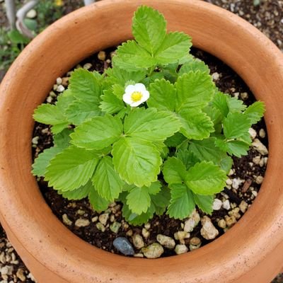 child_kibako's profile picture. 保育士/社会福祉士/精神保健福祉士/心のサポーター指導者/ストレスチェック実施者/保育ソーシャルワーカー初級。
日々の生活の中や読んだ本の中から福祉的観点を中心としたアウトプットを行っています。
札幌近郊住み。道央圏にて、福祉と教育と保育について、考える仲間募集中。