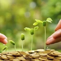 BenignCapital's profile picture. 