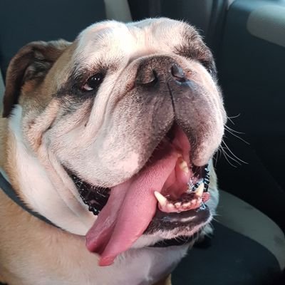 Marucia50894490's profile picture. naaa