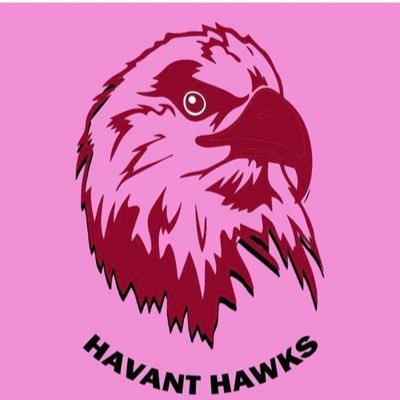 Havant Hawks Cricket Club