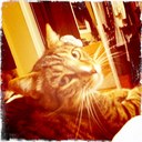 Lorin Lee - @mslorin - Twitter