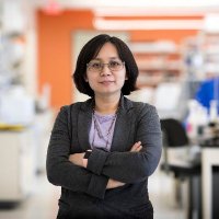 xiaorong liu (@xiaoronger) 's Twitter Profile
