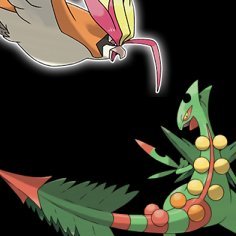 Pidgeot.Vs.Sceptile