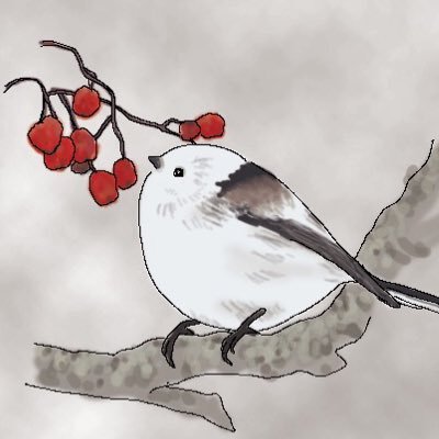 現状を知るためのRTが主で、本人は日常のとりとめのないことばかり／庭花や虫／軒下にてプランターで野菜づくりをはじめました