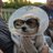 rickcorky's avatar